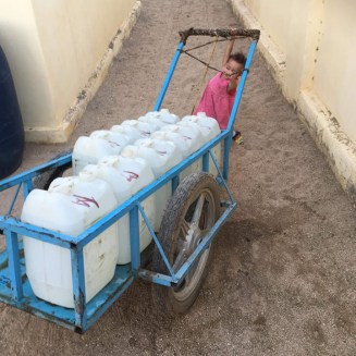 84415718_251828469139497_7197375335573225472_n